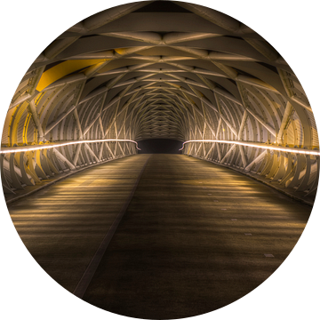 Fietsbrug De Netkous