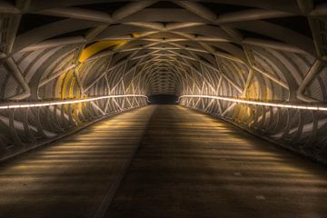 Fahrradbrücke De Netkous von Eus Driessen