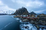 Hamnoy cottages by Aimee Doornbos thumbnail