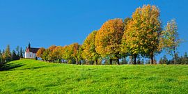 Baumallee an einer Kapelle im Herbst von Markus Lange