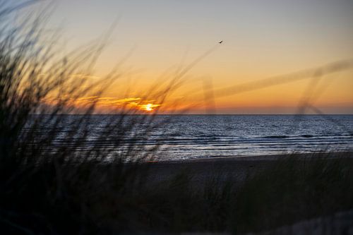 Strand bei Sonnenuntergang