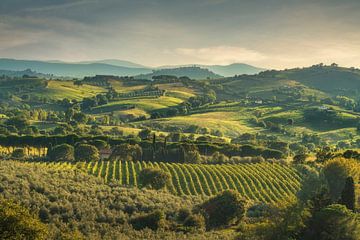 Landschap van de wijngaarden van Morellino di Scansano, Toscane van Stefano Orazzini