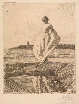 Anders Zorn - De zwaan (1915) van Peter Balan