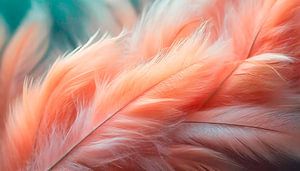 Feder weich mit Orange Farbe
