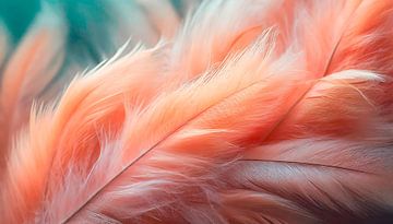 Soft feather with orange colour by Mustafa Kurnaz