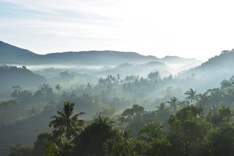 Jungle View by Bianca ter Riet