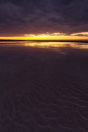 Nieuwvliet 8 by Deshamer