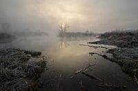 Fog upon river