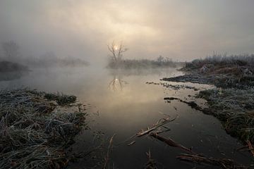 Mist op de rivier van Stanislav Salamanov