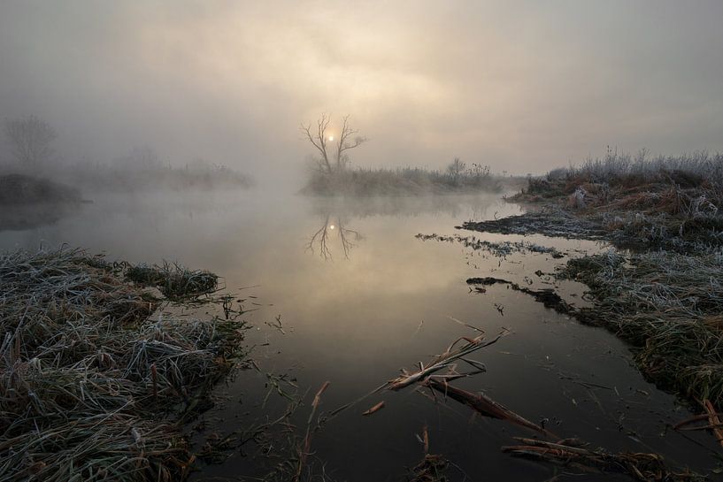 Nebel über dem Fluss von Stanislav Salamanov
