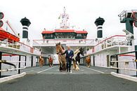 Smell the sea, leave the ferry, and feel free van Eilandkarakters Ameland thumbnail