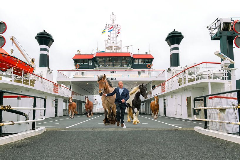 Smell the sea, leave the ferry, and feel free van Eilandkarakters Ameland
