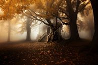 The abandoned tea house surrounded by autumn colours. by Karina Brouwer thumbnail