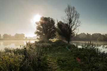 Castellumpad Arnhem bij zonsopkomst by Michel Vedder Photography