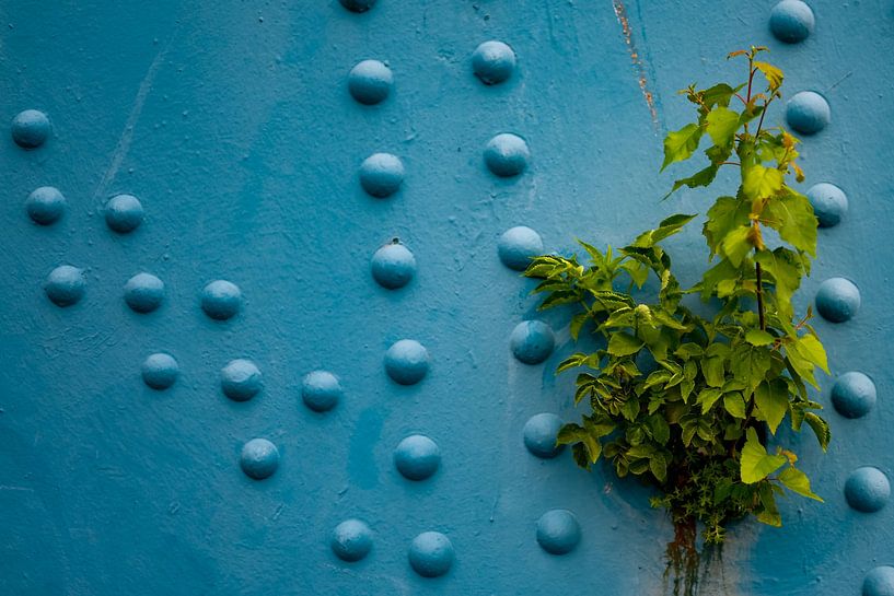 Love affair of steel and nature by Fotografie Schnabel