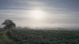 Ochtendmist boven Lienzingen van Marcel Hechler