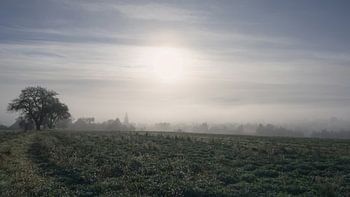 Morgennebel über Lienzingen