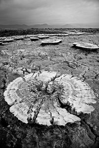 Formation de sel dans le désert d'Ethiopie sur Photolovers reisfotografie