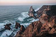 Praia Ursa van Michiel Dros thumbnail