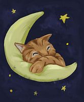 Slapende kat