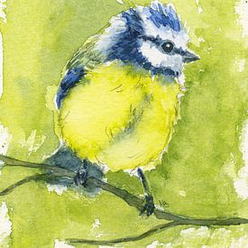 Kleine Blaumeise auf einem Ast von Karen Kaspar