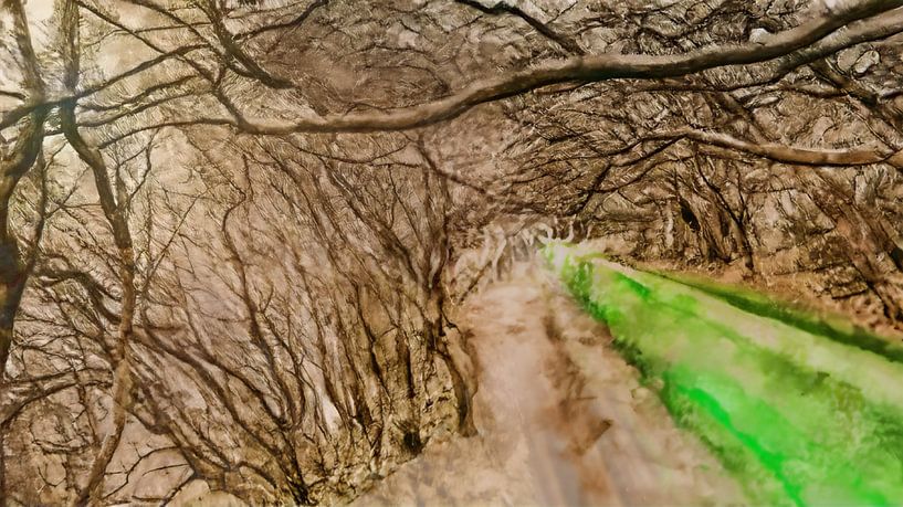 La levada mystique par Geert Van Baelen