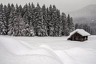 Alpenhut in de sneeuw in het Drautal - Karinthië - Oostenrijk van Felina Photography thumbnail