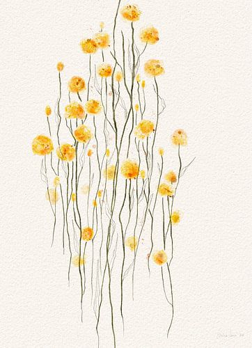 THE SKY IS THE LIMIT