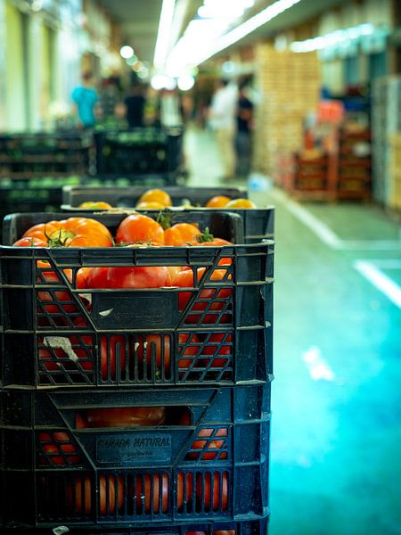 Hiding behind the tomatoes by Tatiana Tor Photography