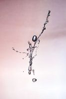 water spetter 