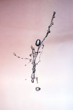 water spetter  van jan van Welt