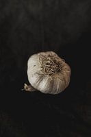 Knoflook