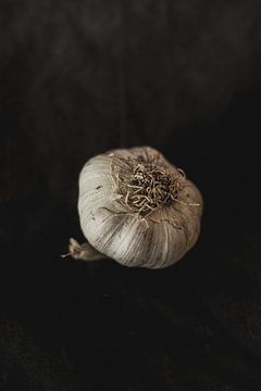 Garlic by Melanie Schat