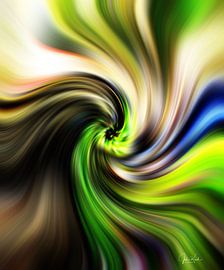 Mushrooms in Amelisweerd by John Kraak