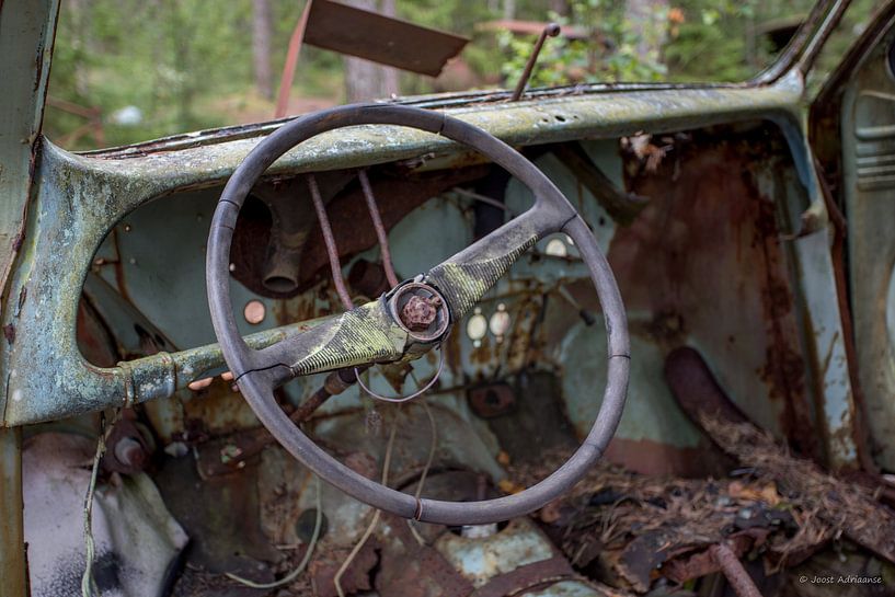 Bœuf en voiture au cimetière en forêt de Ryd, Suède par Joost Adriaanse