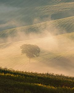 Ein Morgen in der Toskana