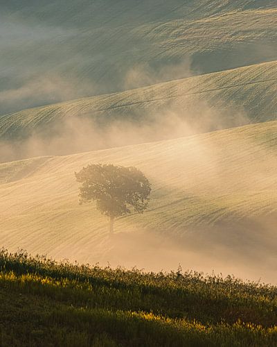 A morning in Tuscany by Henk Meijer Photography