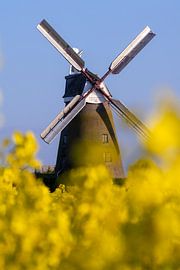 Molen van Breberen van Bart Zeegers