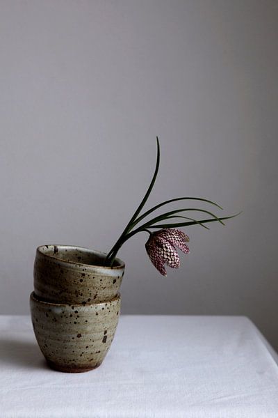 Still life of fritillaria on speckled mugs by Lilian Bisschop
