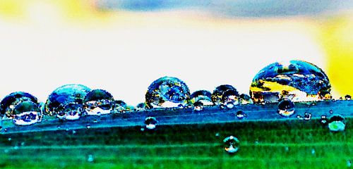 Regentropfen auf einem grünen Blatt Impression