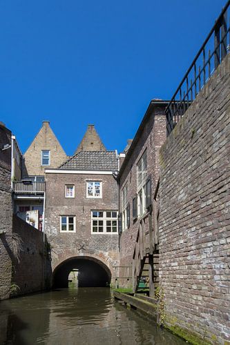 Binnendieze in Den Bosch