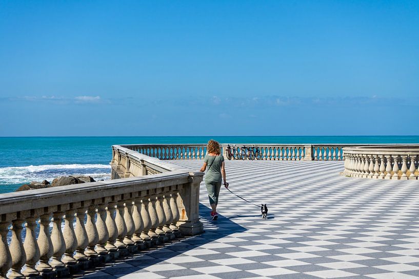 Frau mit Hund auf der Mascagni-Terrasse in Livorno, Italien von Animaflora PicsStock