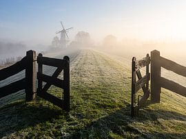 View of the windmill by Angela Kraan