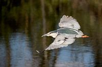 Quacksalber
