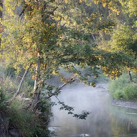 mystischer Fluss von rob creemers