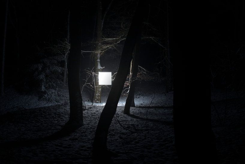 Snow #2 by Casper Zuidwijk