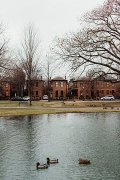 Häuser in German Village, Columbus Ohio von Thessa van Beek