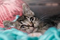 Just chilling