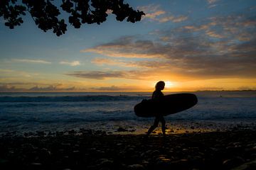 Surfing girl in Hawaii van Jim De Sitter