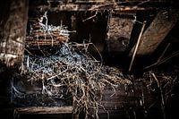 Old Farm #2